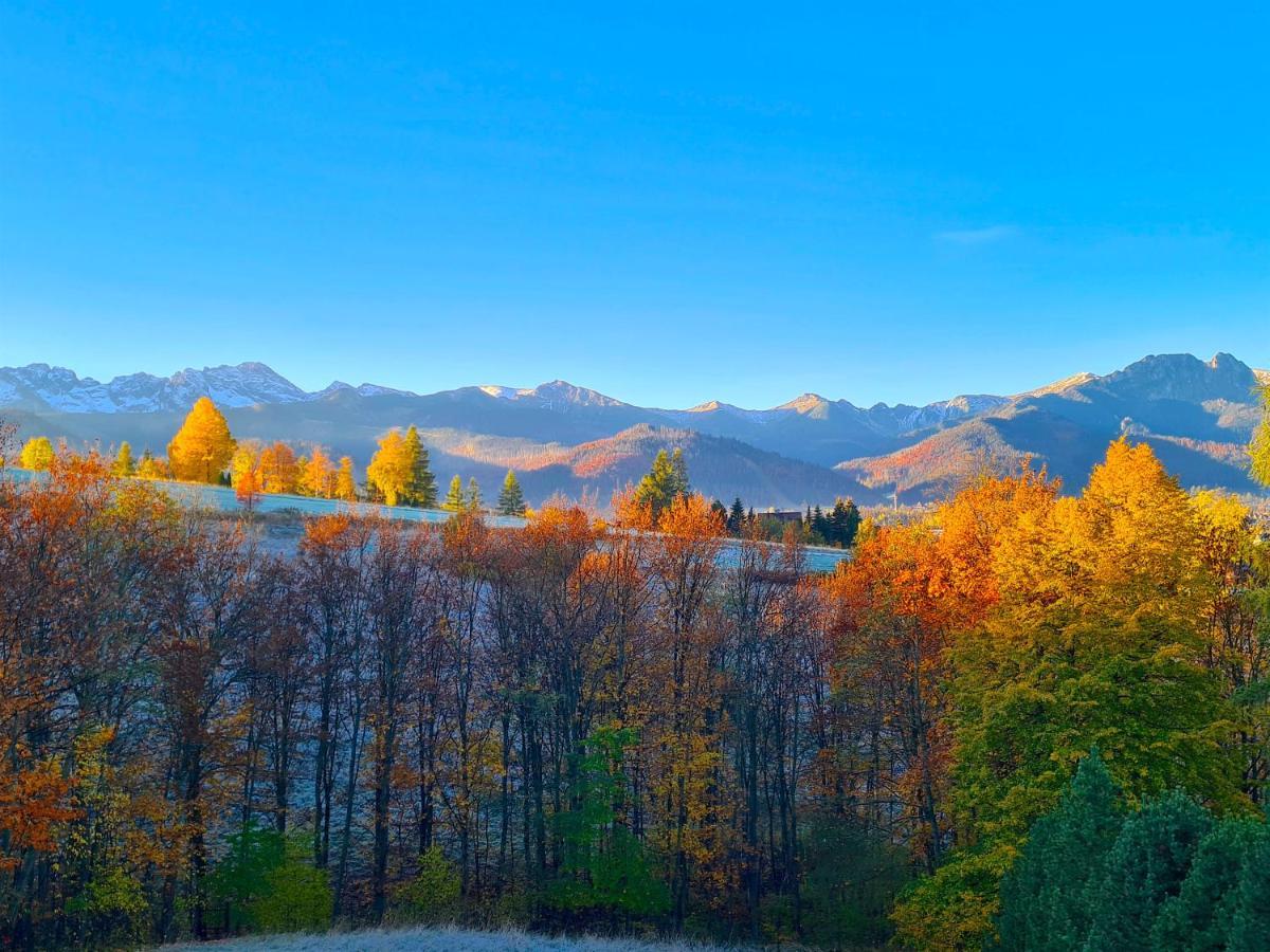 Apartamenty Skalna Chata Zakopane Eksteriør bilde